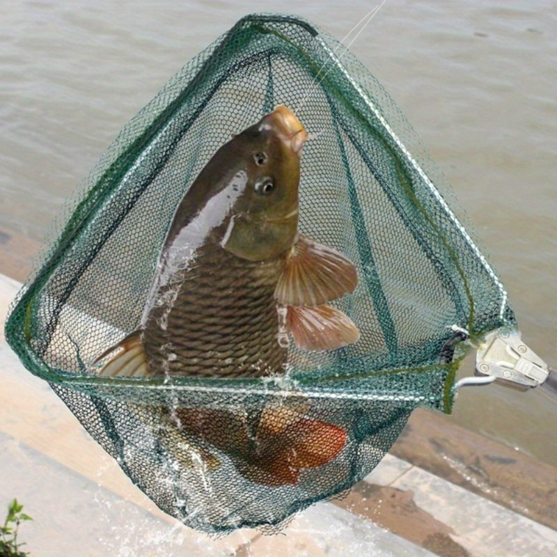 Foldable Triangle Fishing Land - Landing Net Telescopic 评论和价格
