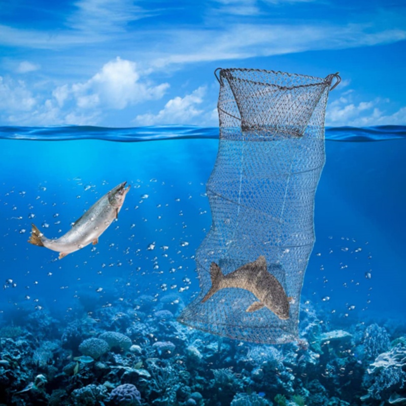 Telescopic Foldable Crayfish C - Landing Net Telescopic 评论和价格
