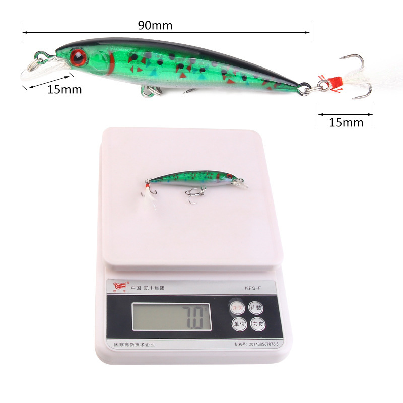 10 Colors Minnow Fishing Lure  - Fishing Equipment Japan 评论和价格